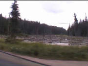 algonquin_moeras.jpg