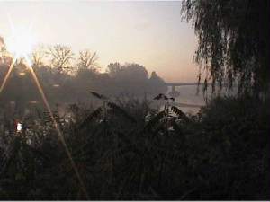 arad_rivier4.jpg