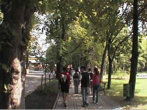 badacsony_park.jpg