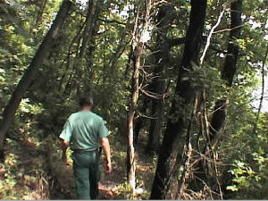 badacsony_wandeling1.jpg