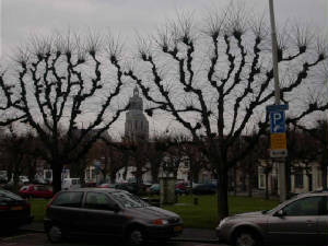 bergen_de_geit.jpg