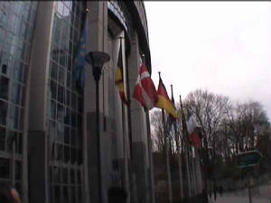 brussel_parlemant_vlaggen.jpg