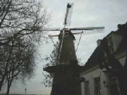 buren_molen.jpg