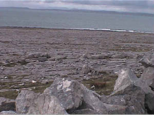 burren_coast4.jpg