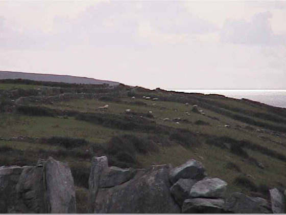 burren_farm.jpg
