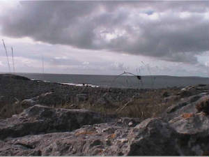 burren_landscape2.jpg