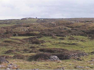 burren_landscape3.jpg