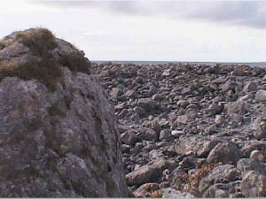 burren_landscape4.jpg