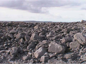 burren_landscape5.jpg