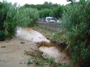 costas_llorethoosbui2.jpg