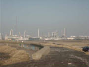 europoort_maasvlakte3.jpg