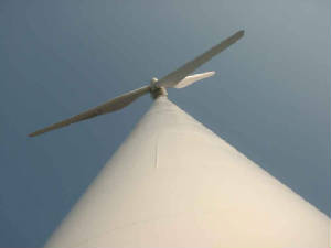 europoort_maasvlakte_windmolen.jpg