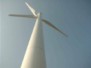 europoort_maasvlakte_windmolen1.jpg