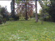 franeker_tuinen.jpg