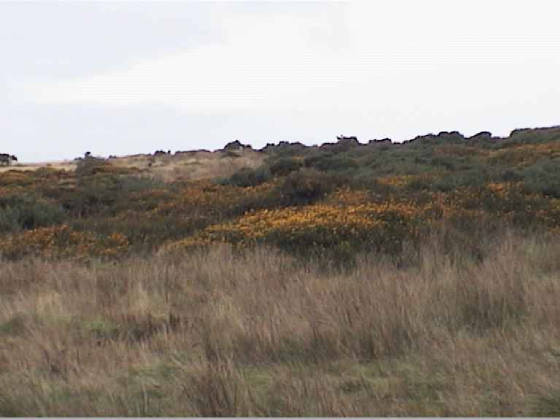 lake_moors.jpg
