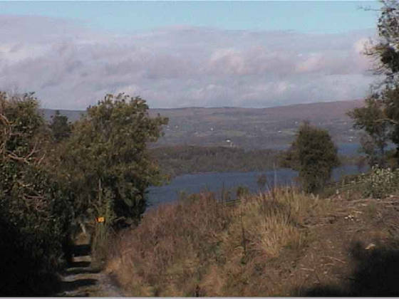 lake_view2.jpg