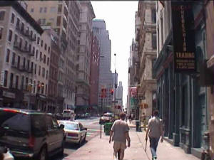 new_york_chinatown1.jpg