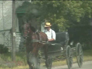 ontario_paardenkar.jpg