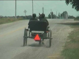ontario_paardenkar1.jpg
