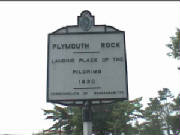 plymouth_rock_bord.jpg
