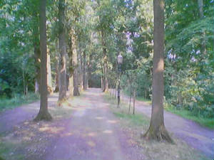 renswoude_laan.jpg