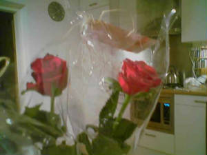 roses_from_the_students.jpg