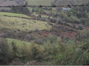 silvermines_mountain1.jpg