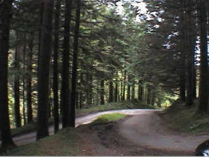 silvermines_mountain3.jpg
