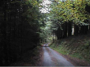 silvermines_mountain4.jpg