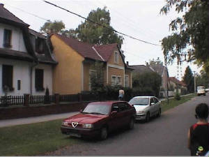 szarszo_balatonsz1.jpg