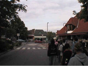 szarszo_balatonsz2.jpg