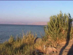 tiberias_meer.jpg