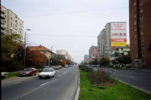 timisoara_boulevard.jpg