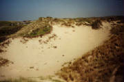 zandvoort_duinen2.jpg