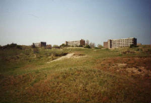zandvoort_duinen3.jpg