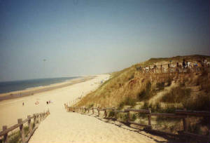 zandvoort_strand.jpg