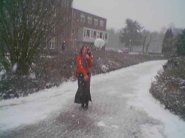 jolize_sneeuwbal.jpg
