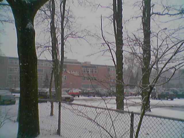 lodo_gebouw2.jpg