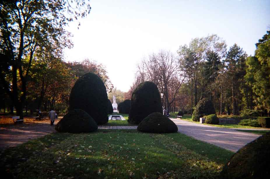 timisoara_park.jpg